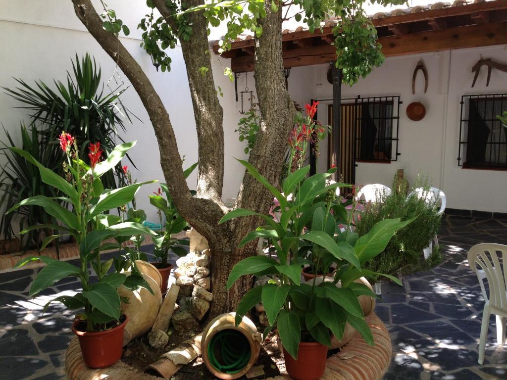 Casa Rural El Rincon Del Infante Villa de Don Fadrique Exterior foto